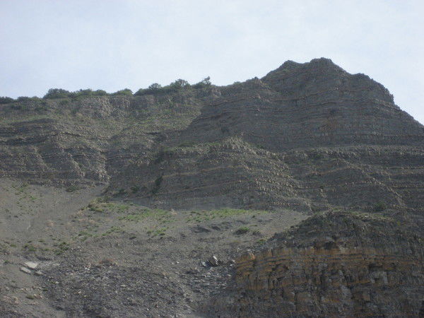 Нина Крымова