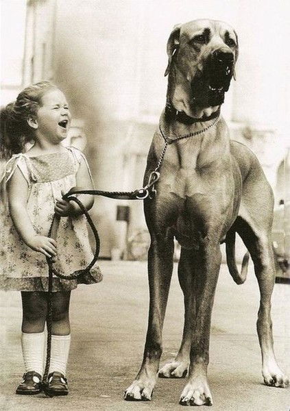 Лика Ликусик