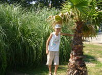 Владимир Грачев