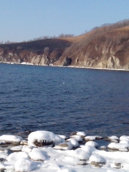 Марина Глазунова