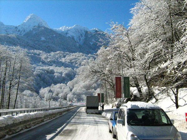 Елена Елена