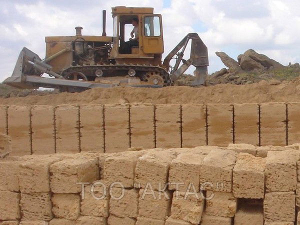 Бейнеу Актас