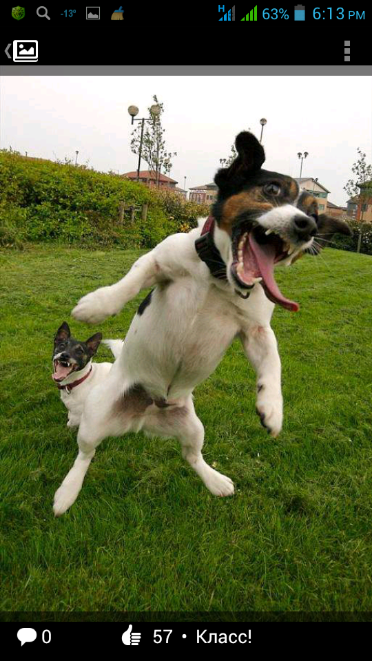 Алексей Ххххххх