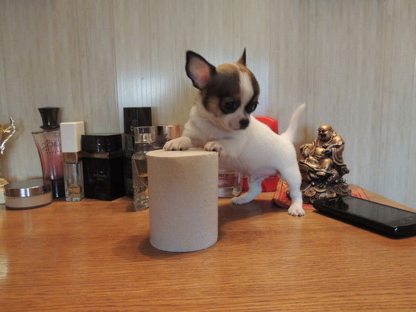 Захарин Евгений