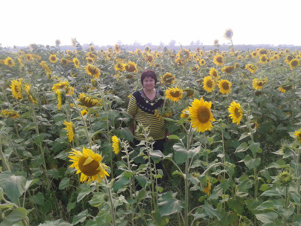 Рима Галеева