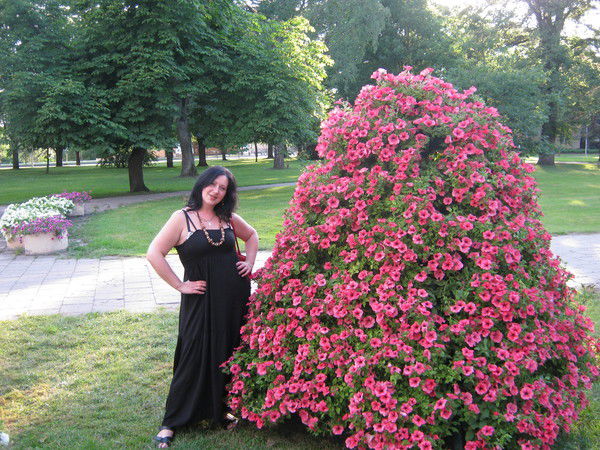 Ангелина Сушко