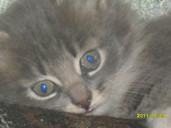 Наталья Занкевич