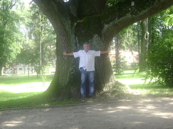 Тадеуш Венскович