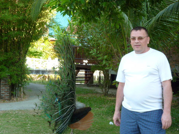 Виктор Атеняев