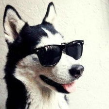 Никита Шульгин