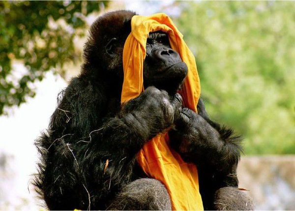 Татьяна Серикова