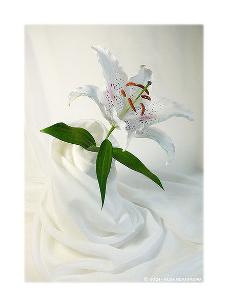 Марина Кучеренко