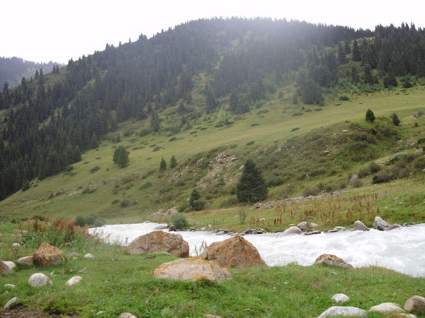 Илиев Ренат