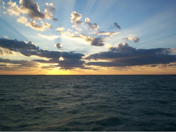 Тимур Айданалиев