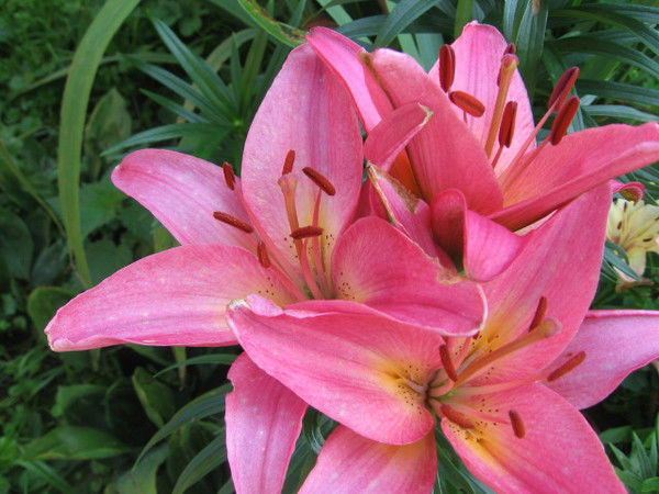 Татьяна Гавриленкова