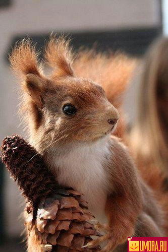 Людмила Тинькова