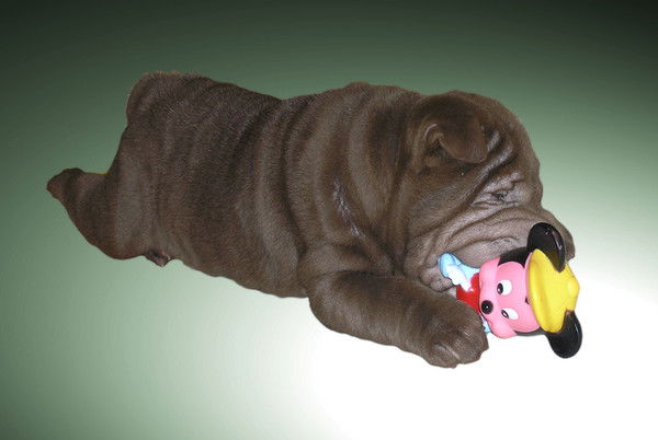 Ольга Кунгурцева