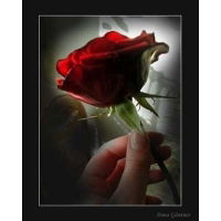 Тоо Гарант-7 "жанар"