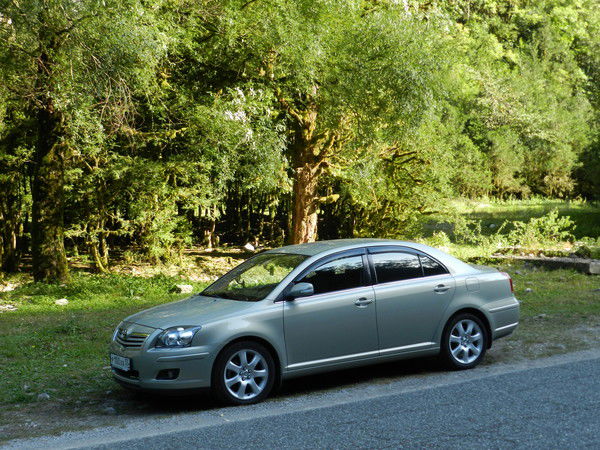 Андрей Филиппов