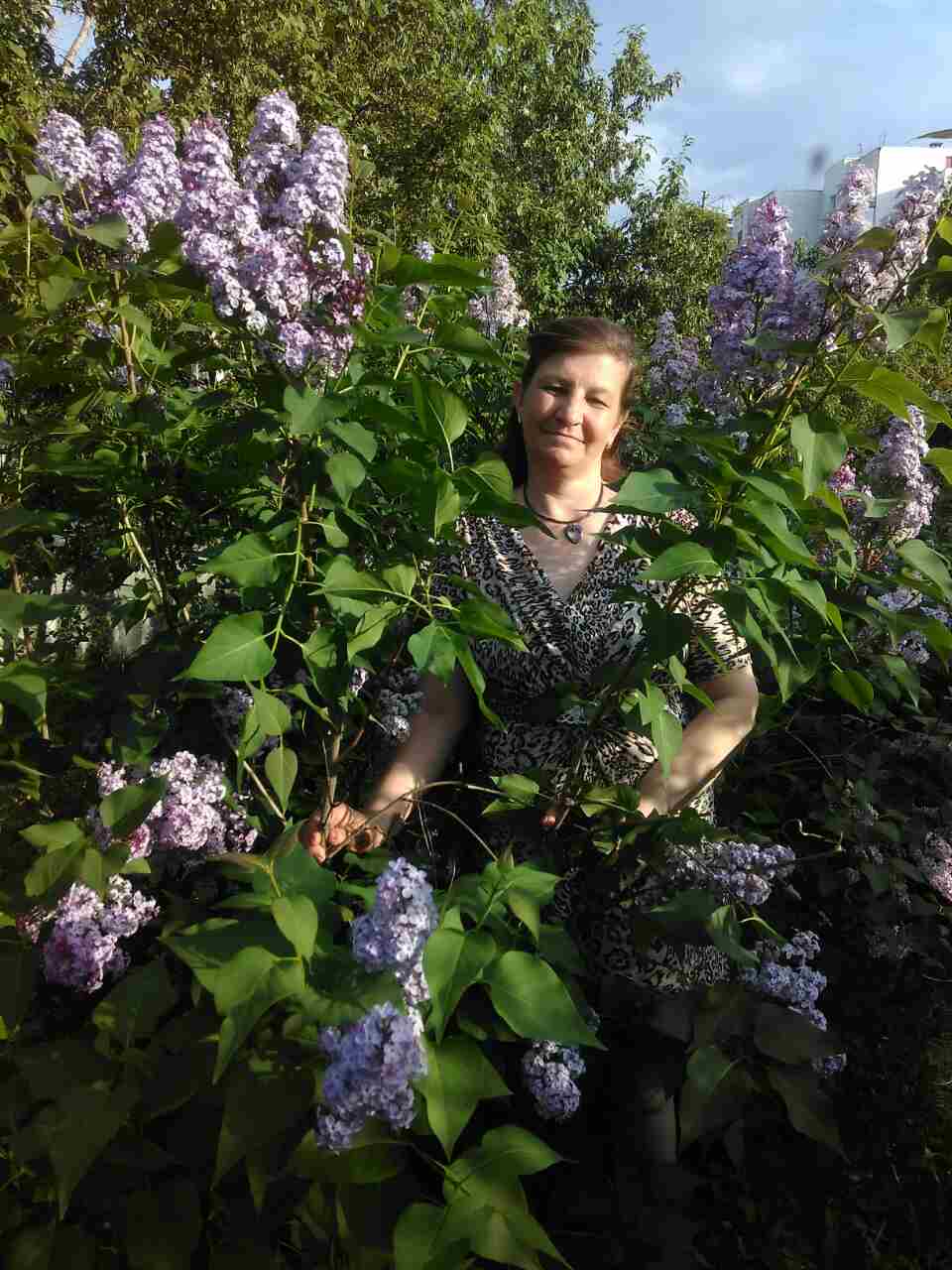 Надежда Токарева