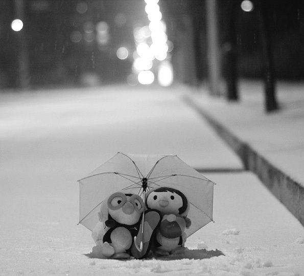 Юлия Татаркина