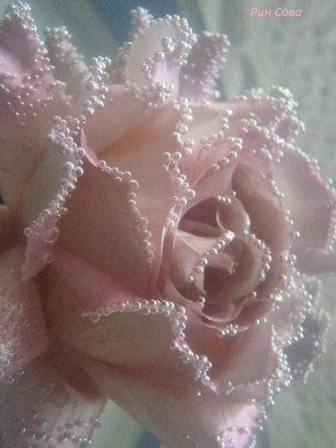 Юля Артюшок