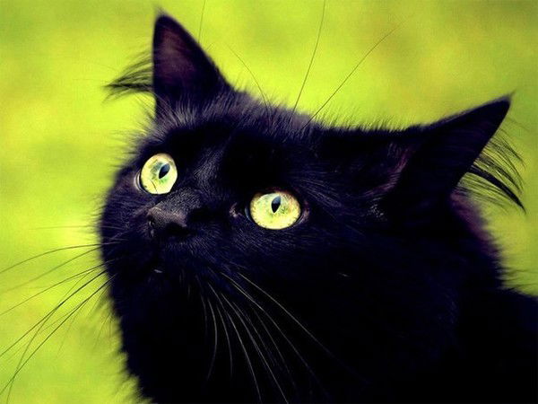 Зоя Малахова