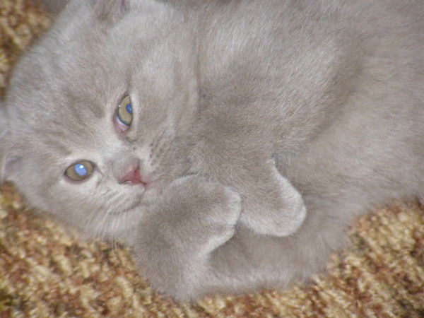 Екатерина Юрьева