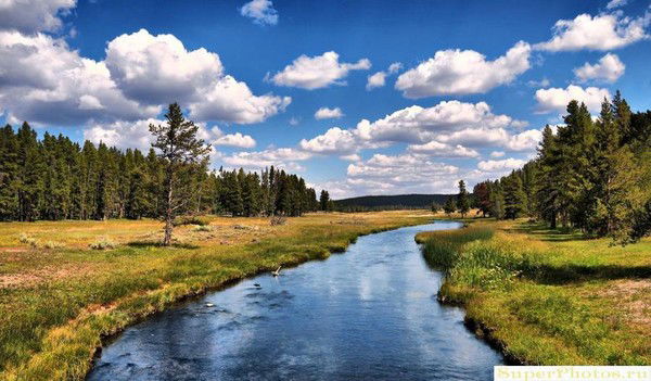 Кокпектинский Архив
