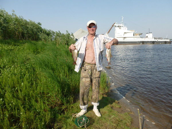 Сергей Царьков