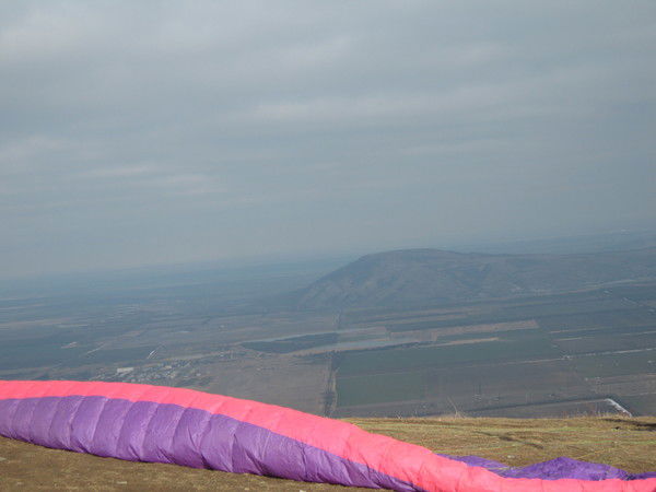 Анна Кутачёва