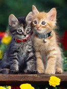 Юлия Хузина