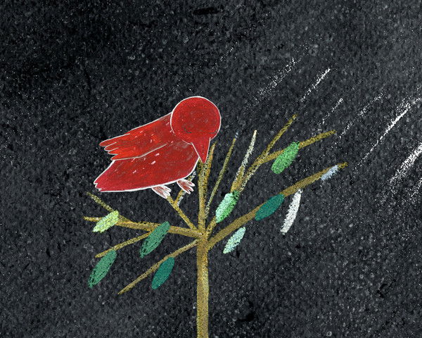 Полина Баринова