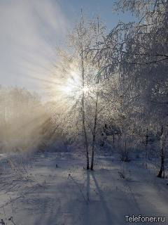 Валентин Зенин