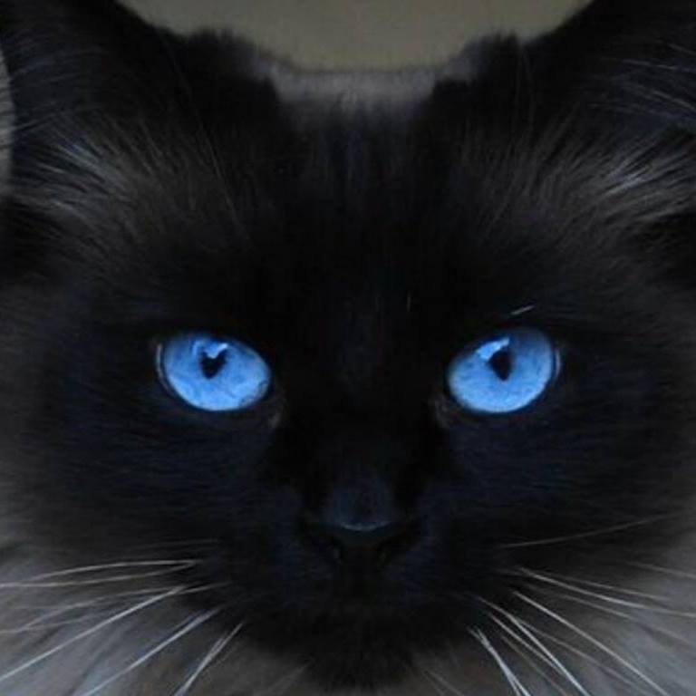 Ирина Малина