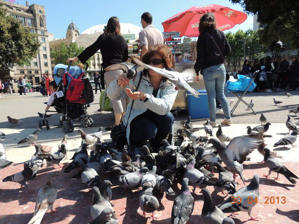 Виктория Кошелева