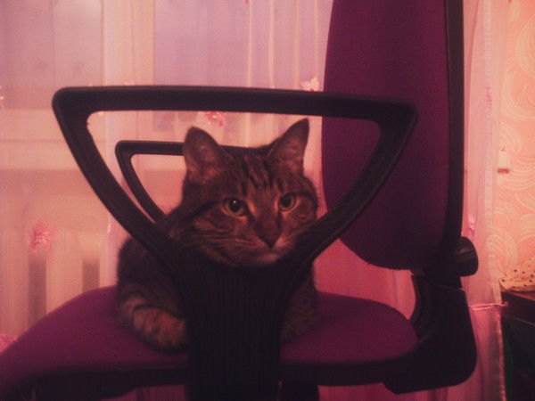 Василий Сагайдак