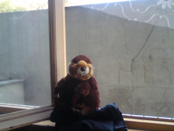 Андрей Тимошенко