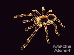 Влад Николенко