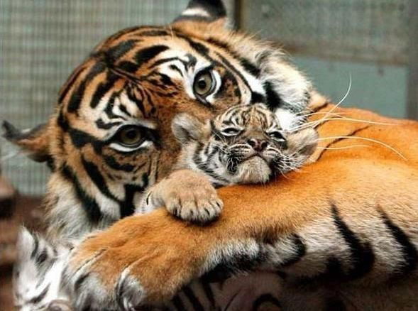 Марат Ахметов