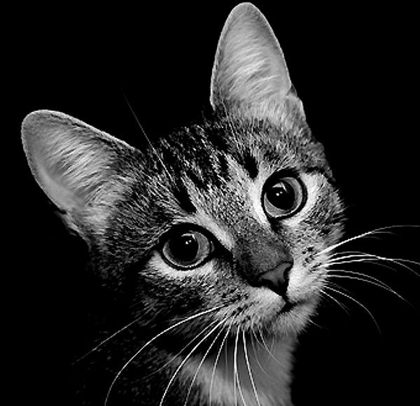 Степан Пинаев