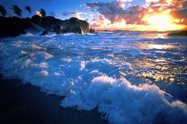 Людмила Арапина