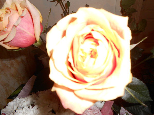 Ирина Милютина