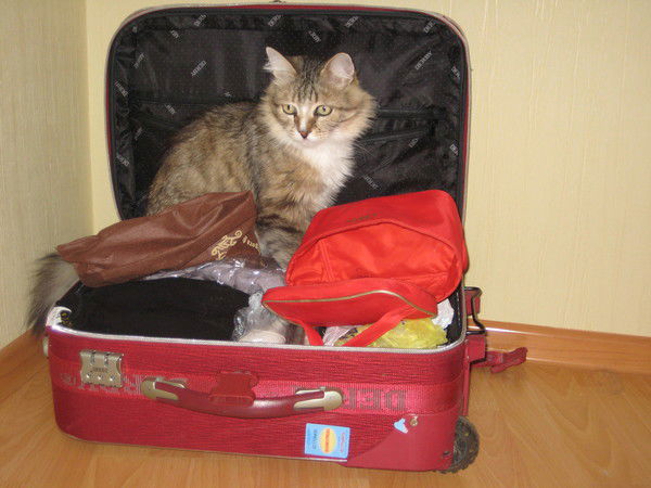 Вероника Иванова