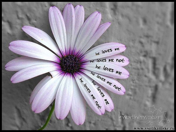 Вера Вьюнова