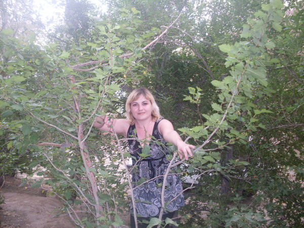 Светлана Тиманова