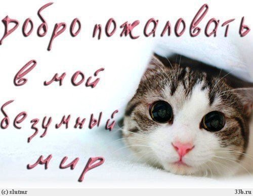 Татьяна Кочкина