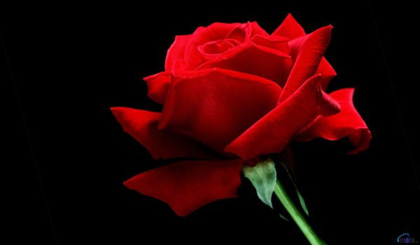 Бибигуль Ержанова