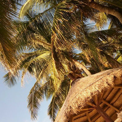 Игорь Ибрагимов