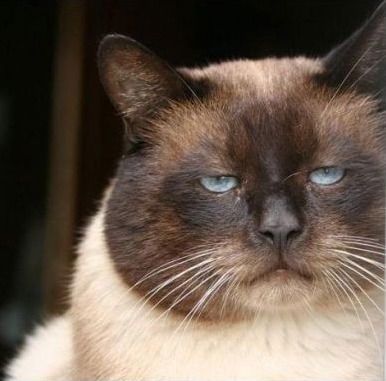 Константин Хаукка